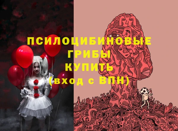 крисы Вяземский