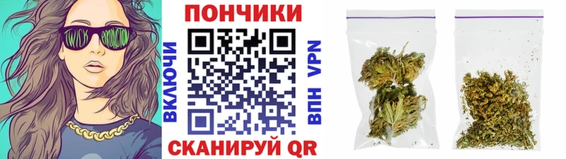 Канабис White Widow Западная Двина